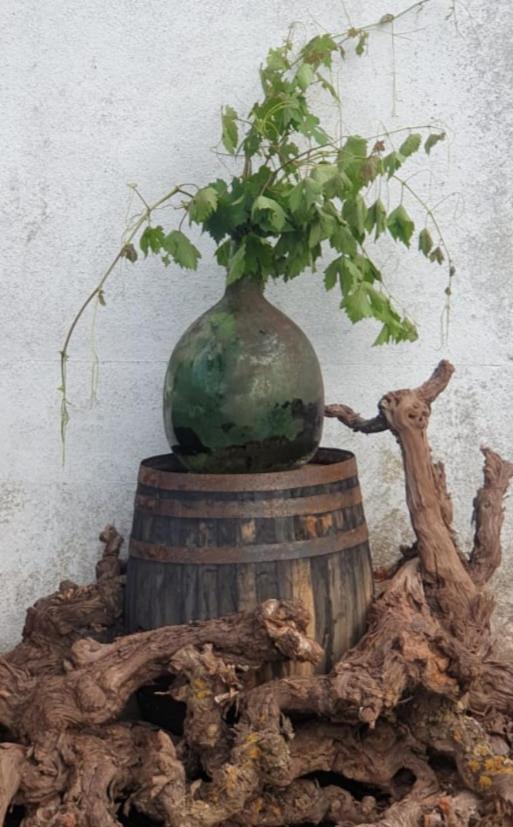 Casa Turistica Carmen, Con Chimenea, Amplia Zona De Jardin, Barbacoa, Piscina Y Garaje *